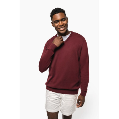 Men's V-neck jumper